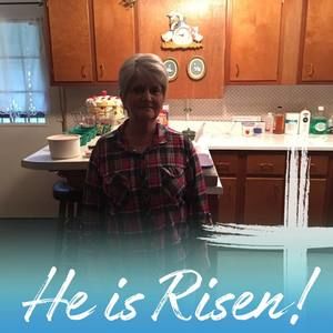 Meet your Posher, Donna